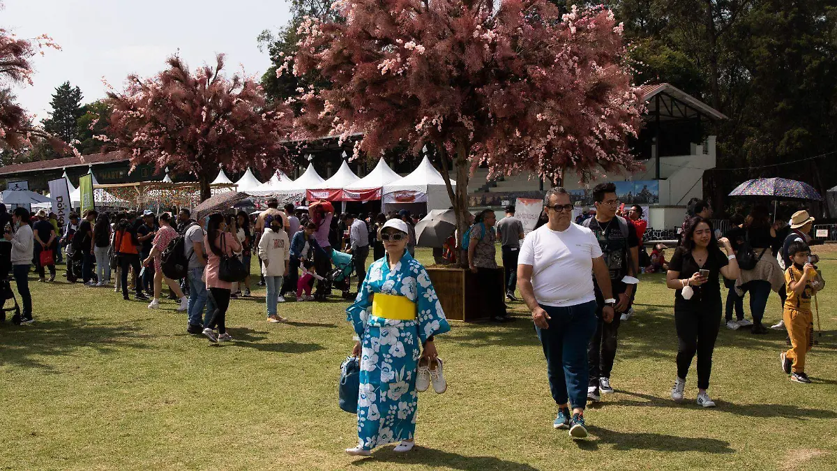 902816_Japan Fest CDMX-2_web